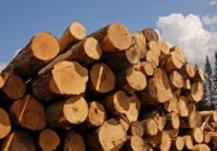 Особенности лиственничного бруса Особенности лиственничного бруса