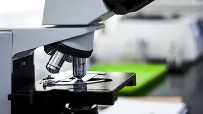 Как предсказать эффективность диет для снижения уровня сахара &ndash; исследование